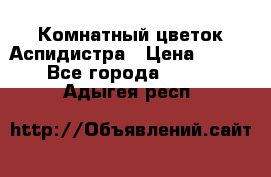 Комнатный цветок Аспидистра › Цена ­ 150 - Все города  »    . Адыгея респ.